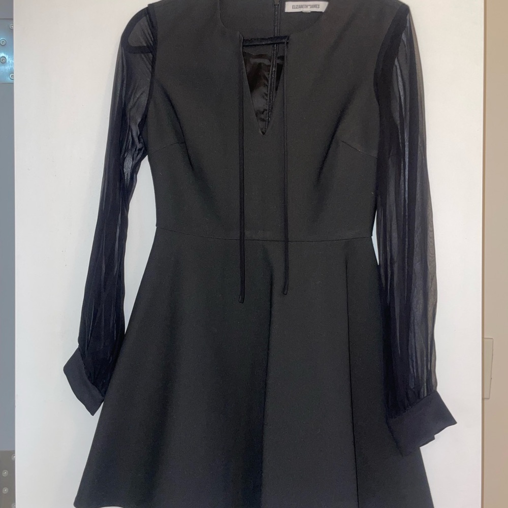 Elizabeth & James Short Black Dress with Sheer Sleeves